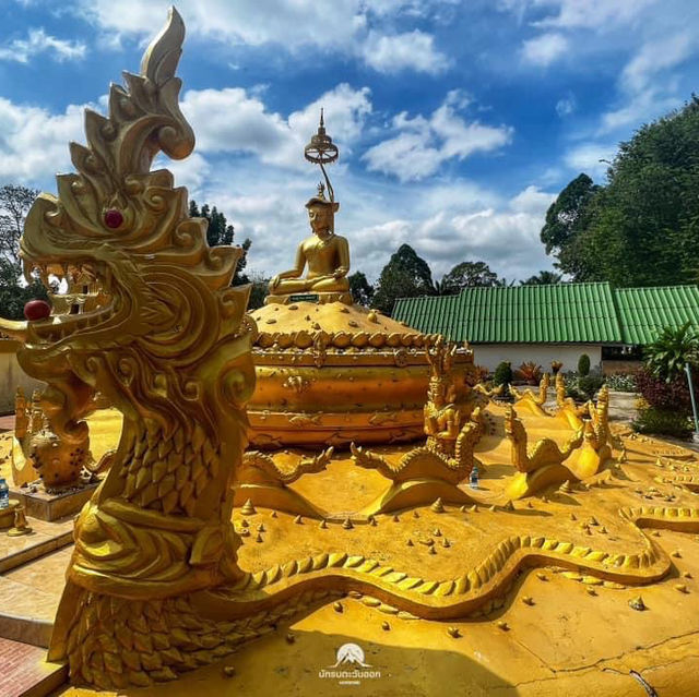 วัดป่ายาง ชุมพร
