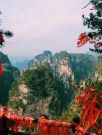 The Avatar Mountains - Zhangjiajie🌲🏔️