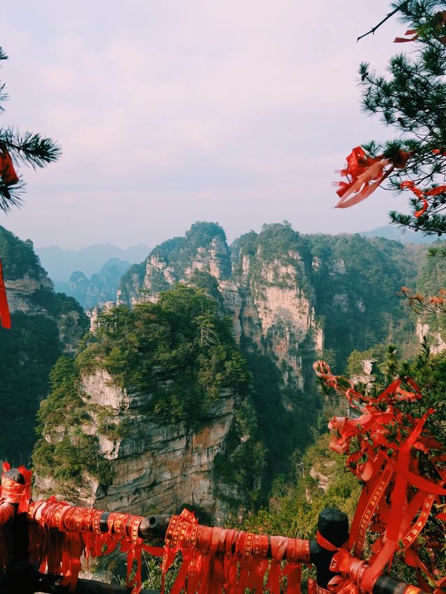 The Avatar Mountains - Zhangjiajie🌲🏔️