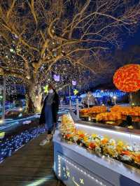 Ashikaga Flower Park Illumination 