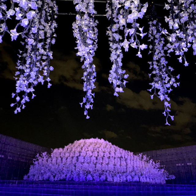 💖三重🇯🇵💖 国内最大級の花のテーマパーク🌸なばなの里🌷