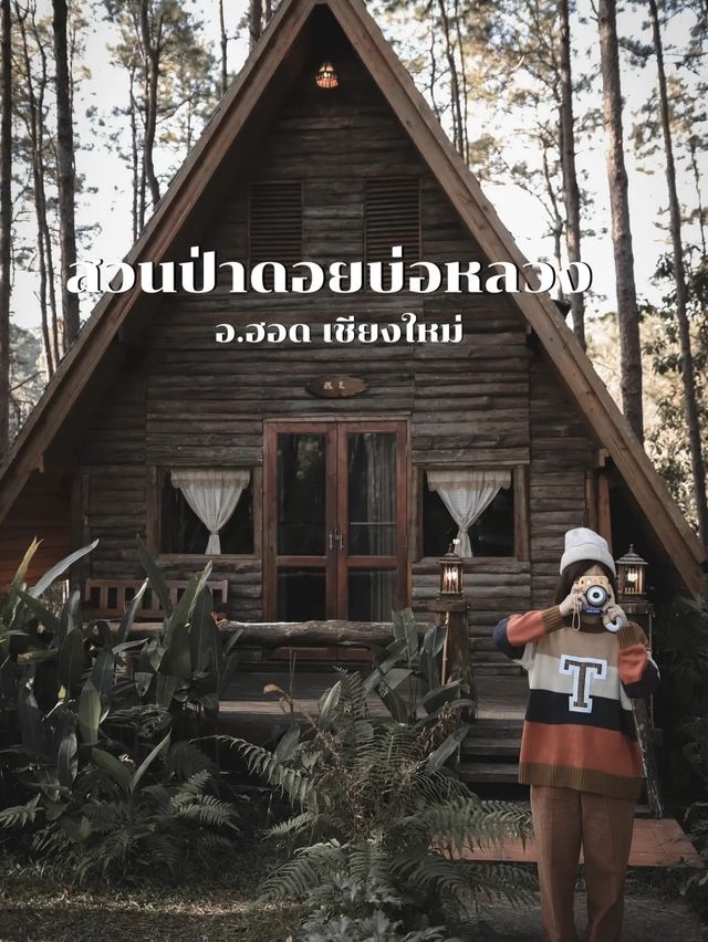 มัดรวม 6 ที่พัก ที่ประทับใจที่สุดในเชียงใหม่ 