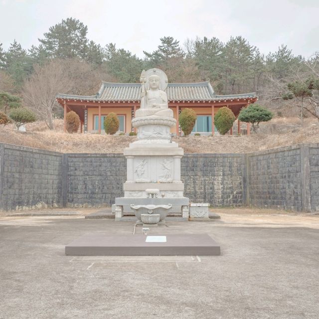 겨울꽃 동백과 바다가 아름다운 지장대사