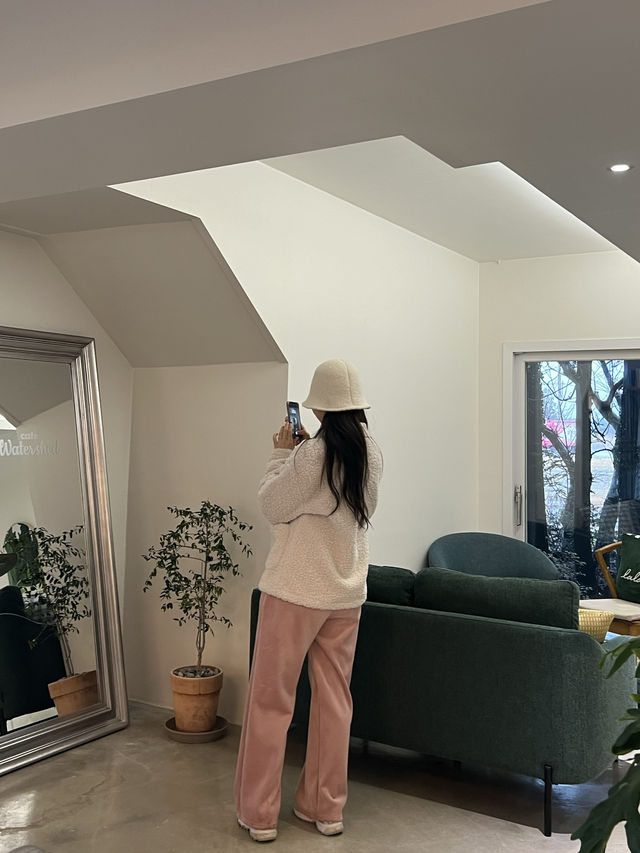 제주도 동화같은 카페 조천읍교래리 카페 워터쉐드 🎄