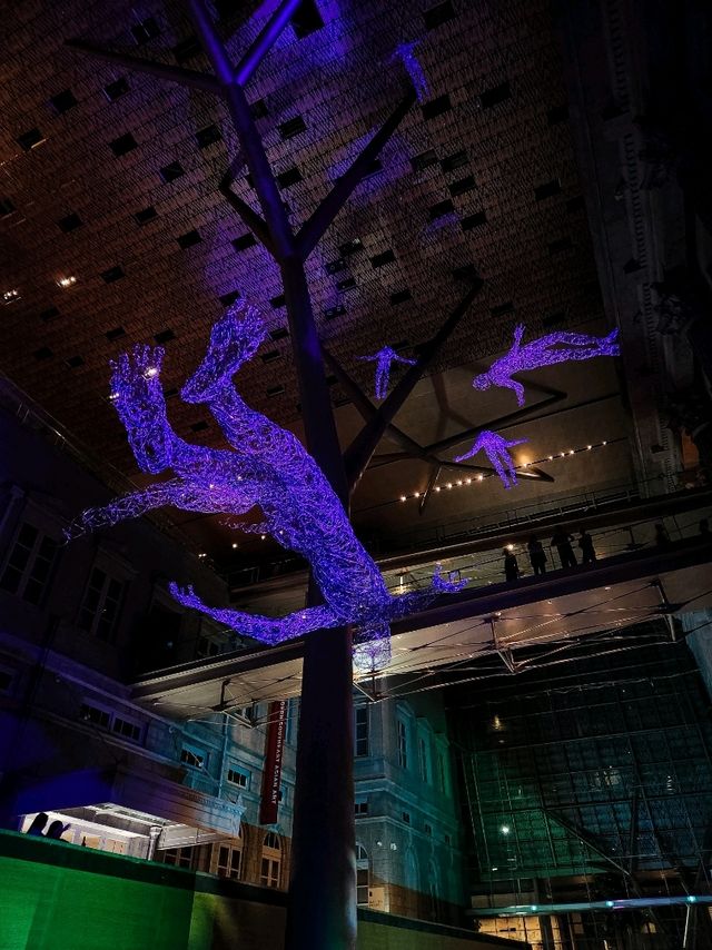 Time for Light to Night Festival 2024!