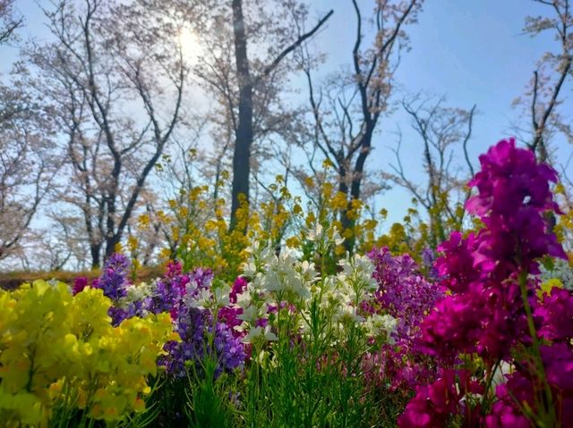 Negishi Forest Park