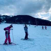 Skiing 