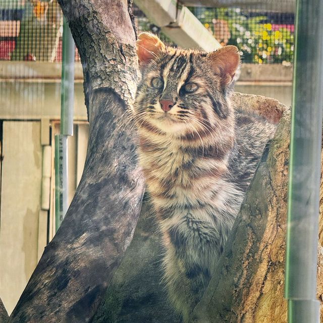 親子之選～東山動植物園 