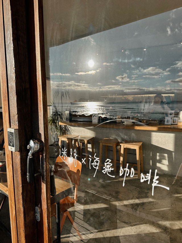 墾丁探店/萬里桐海龜咖啡🌊🐢
