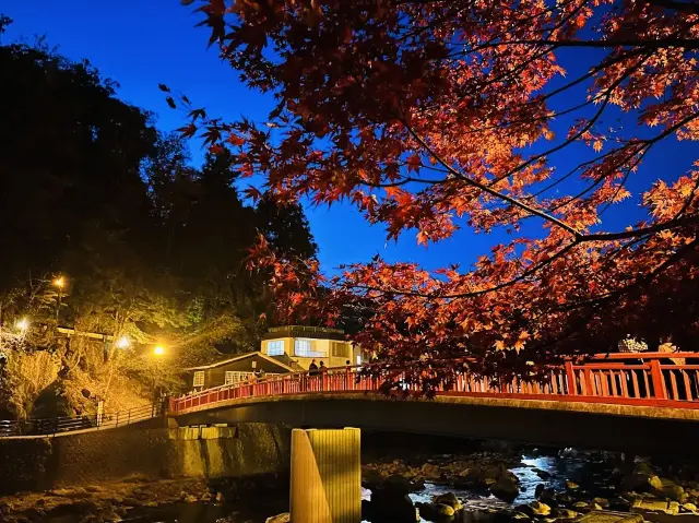 Korankei is a must-visit destination