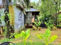 Krabi Elephant House Sanctuary