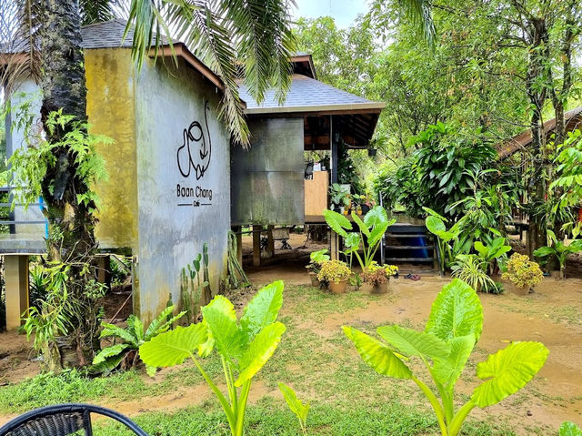Krabi Elephant House Sanctuary