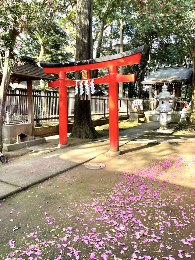 【一言主神社/茨城県】一言の願いでも聞き入れる神様