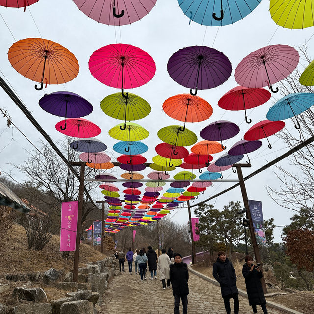 핑크 가득 서울 근교 인생샷 명소🩷