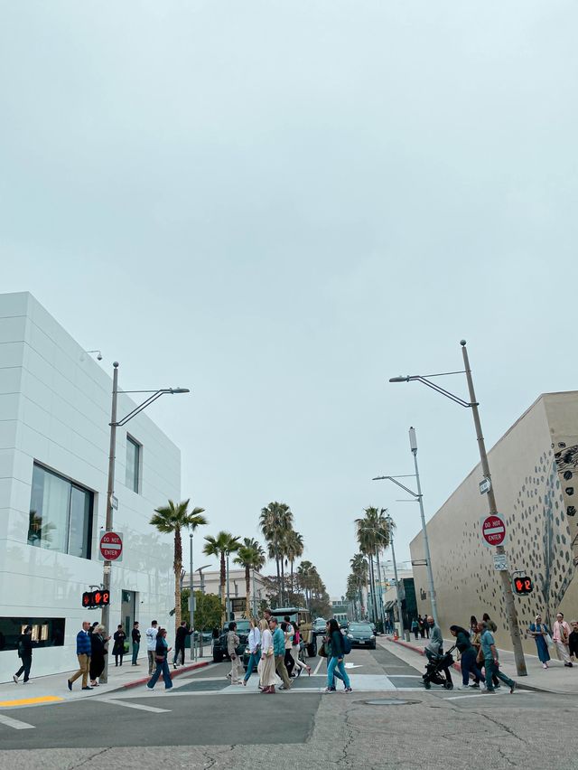 Beautiful and Luxurious Rodeo Drive, LA 🇺🇸