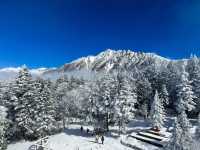 Shinhotaka Ropeway ในวันที่หิมะตก❄️☃️