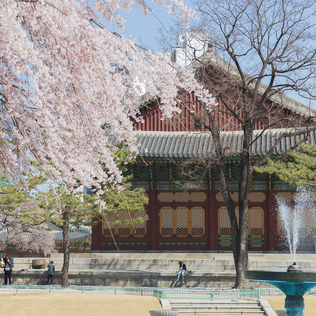 서울 봄나들이 명소 덕수궁