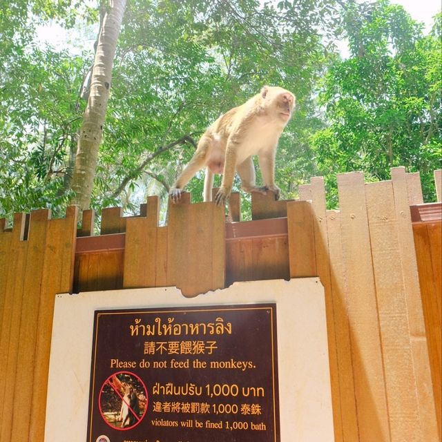 ไร่เลย์ กระบี่