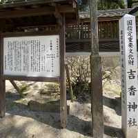 【山口　錦帯橋】吉香神社