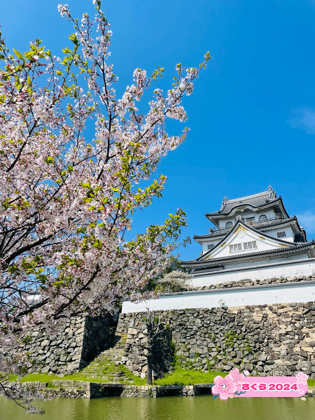 【大阪府】関西空港からわずか23分で行ける続日本100名城！
