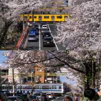 Nakano Broadway