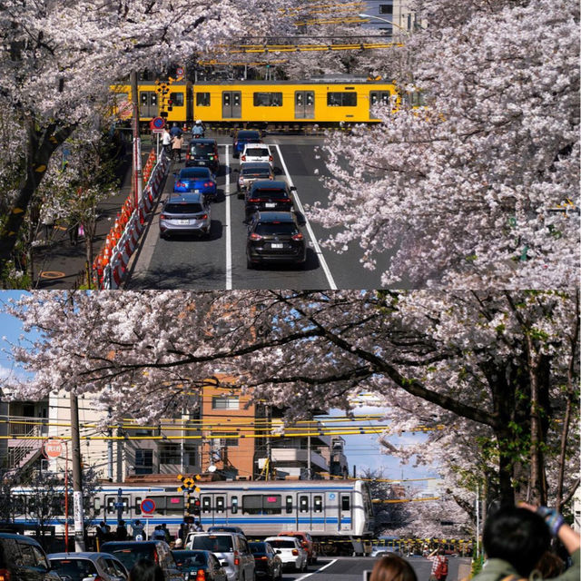 Nakano Broadway