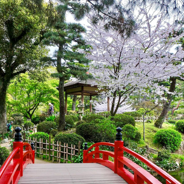 🌸 Immerse Yourself in Sakura Splendor: Shukkei-en Garden, a Tranquil Oasis in Hiroshima! 🍃🏯✨