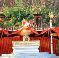 ชมค้างคาวร้อยล้าน วัดเขาช่องพราน ราชบุรี