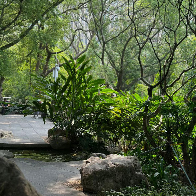 台北光信公園：城市綠洲中的和諧與活力 🌳🌞