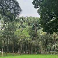 衛武營都會公園：自然的完美🎭🌳