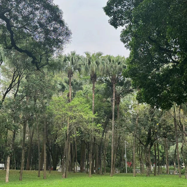 衛武營都會公園：自然的完美🎭🌳