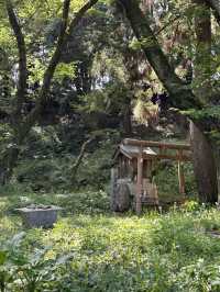 【福岡】北九州にあるお散歩しながら行ける神社