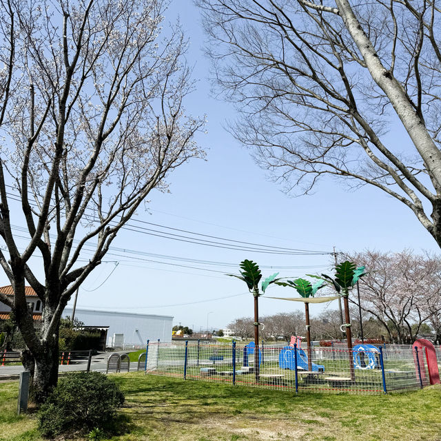 日本九州｜日本的公園總是令人著迷😍