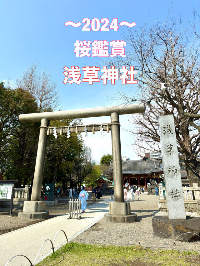 東京　東京観光　浅草は浅草寺だけじゃない！あの神社も忘れてませんか？
