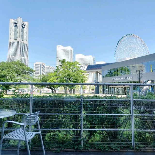 横浜観光🌸絶品朝ごはん🌸赤レンガ倉庫すぐ！ナビオス横浜