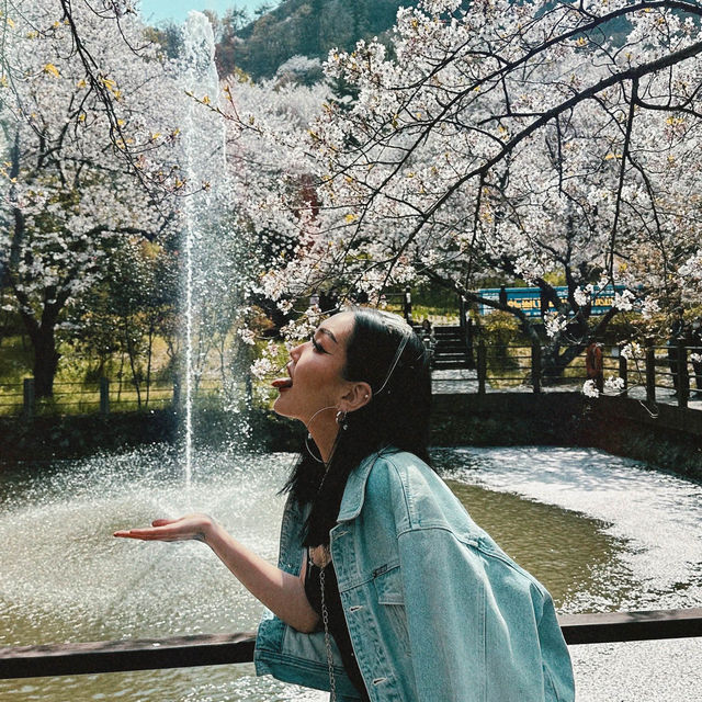 🌸LOST IN SAKURA🌸