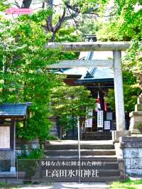 【上高田氷川神社/東京都】多様な古木に囲まれた神社