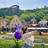 에버랜드 산리오 튤립축제 🌷