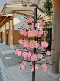 【千葉】絶対に行ってほしい!!桜だらけのかわいすぎる神社🌸今話題のレースお守りも🤍