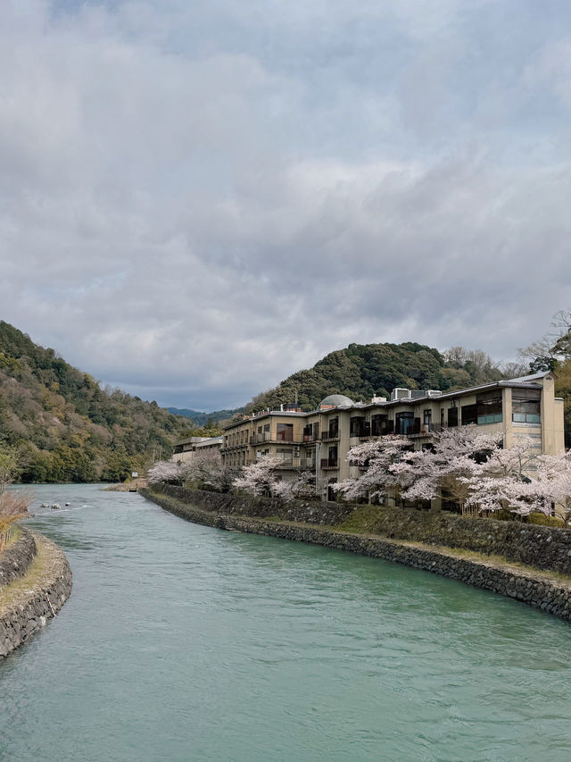 Uji Kyoto 🍵 เมืองชาเขียว