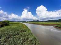 Suncheon Bay Nature Reserve 