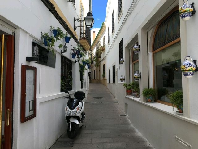 西班牙安達魯西亞的地中海風味料理：Taberna Lugue