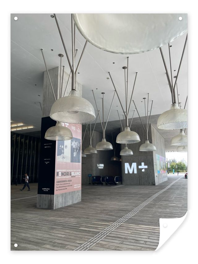 M+博物館探秘指南✨🏛️