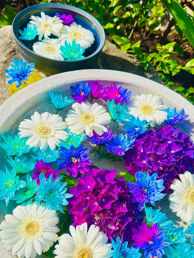 【紫陽花に変化‼️花手水で有名の法輪寺】