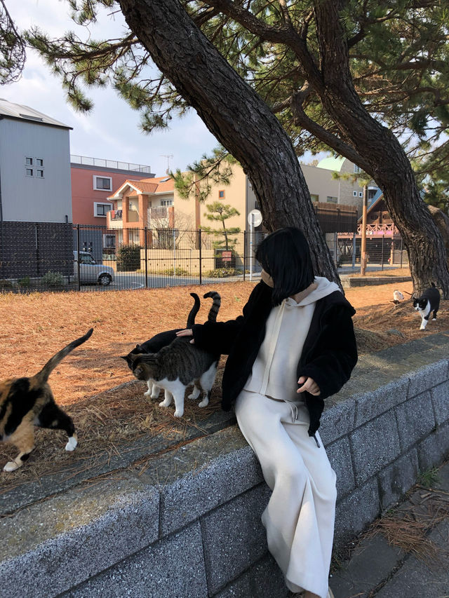 [일본 후쿠오카🇯🇵]나만 아는 힐링 장소:후쿠하마 해변