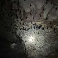 Khao sok national park cave exploring