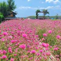 🌼 สวนลุงเวศน์ - #ตรัง 🌷🌻