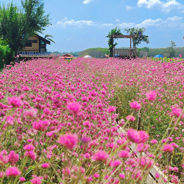 🌼 สวนลุงเวศน์ - #ตรัง 🌷🌻