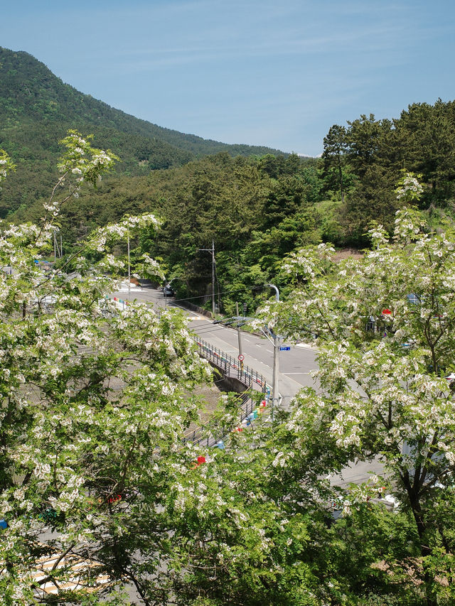 부산 근교 당일치기, 고성 소을비포성지+석방렴✨