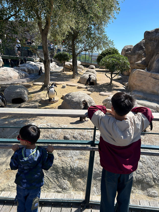 【 免費與海豚互動。水族館•海響館 】